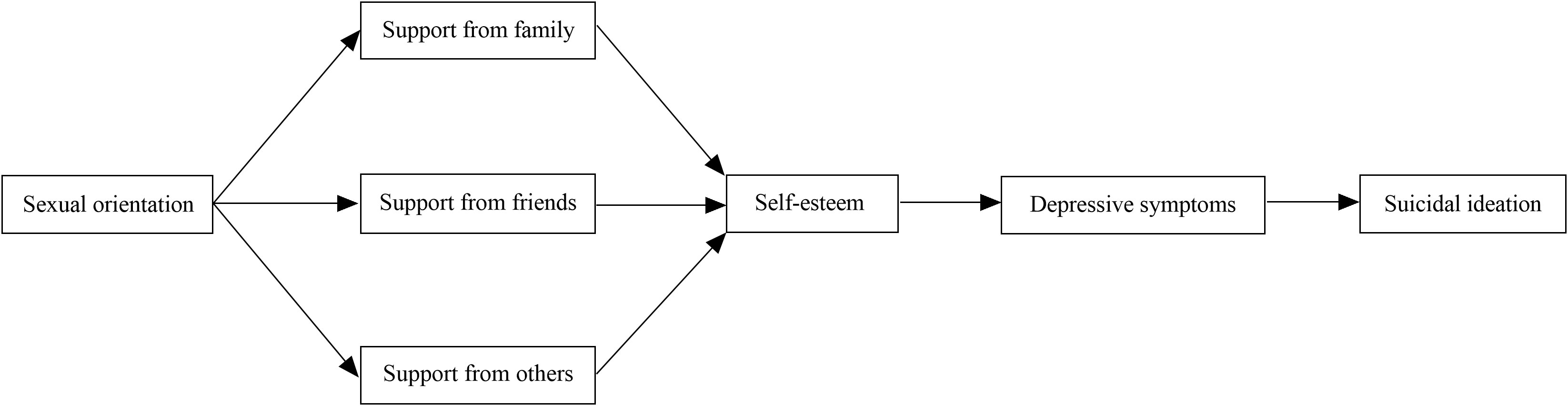 Understanding suicidal ideation disparity between sexual minority and heterosexual Chinese young men: a multiple mediation model of social support sources, self-esteem, and depressive symptoms